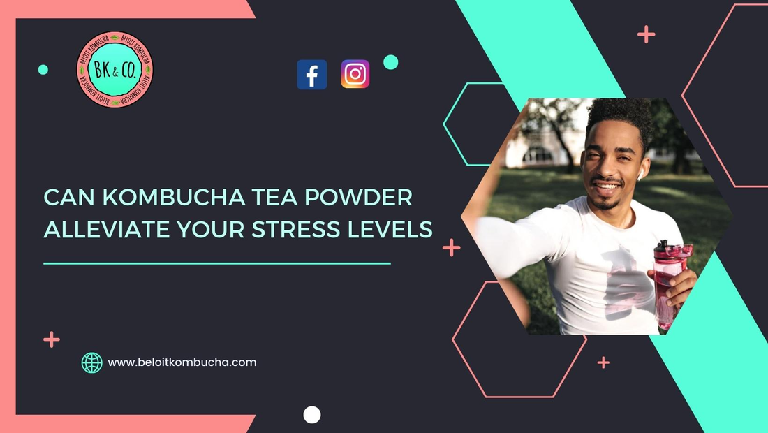Can Kombucha Tea Powder Alleviate Your Stress Levels?